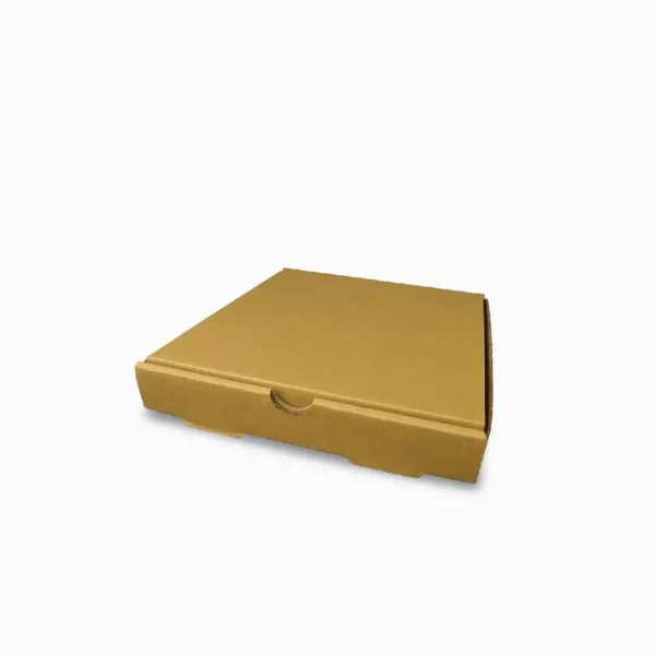 EcoBox Pizza Delight